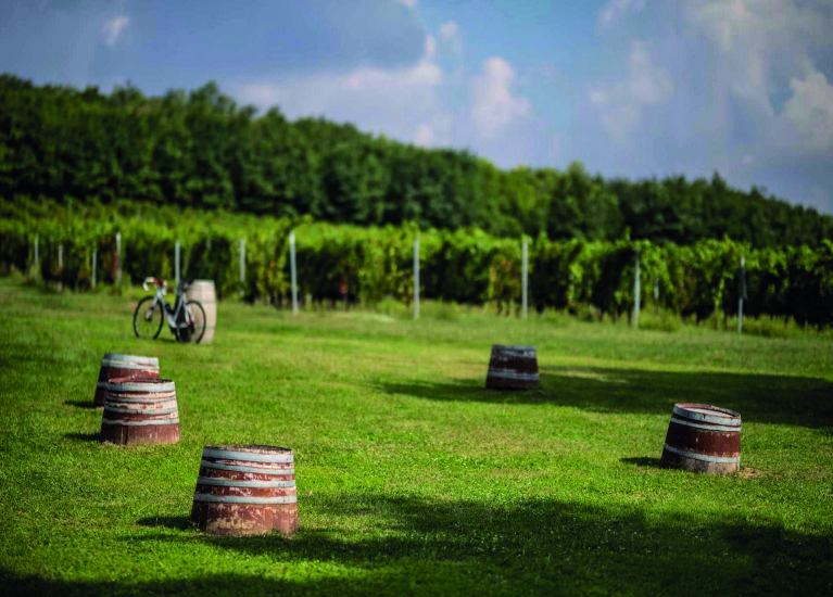 Lorem ipsum dolor sit